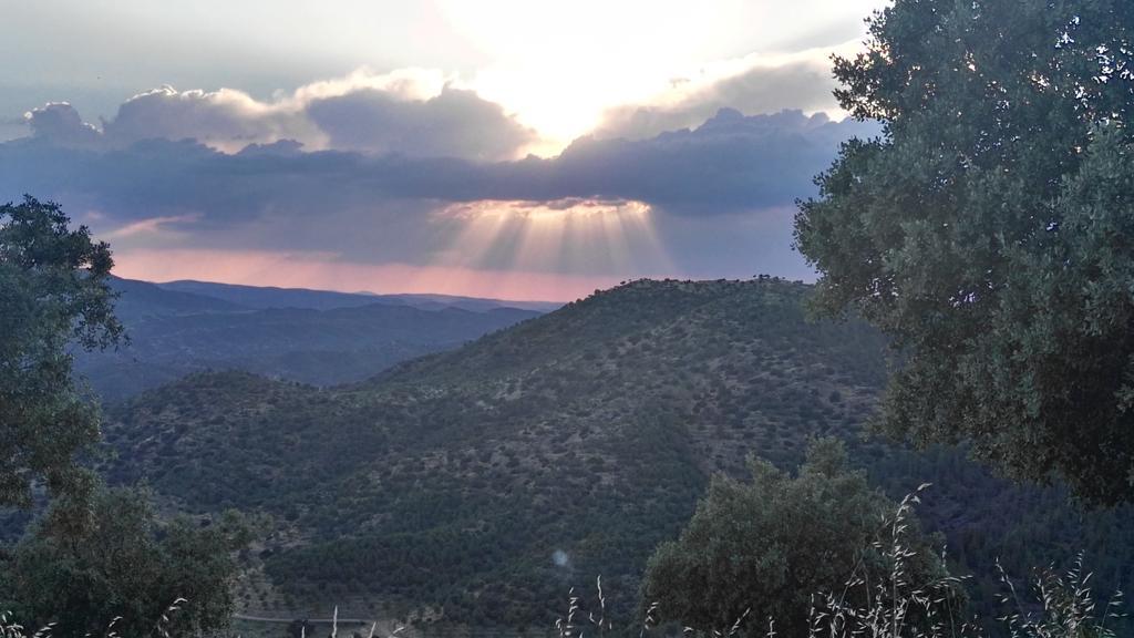 Casa Rural El Trillo ξενώνας El Alcornocal Εξωτερικό φωτογραφία